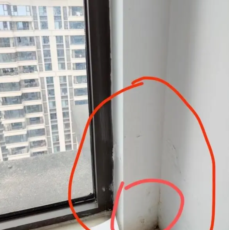 微信截图_20230807101745